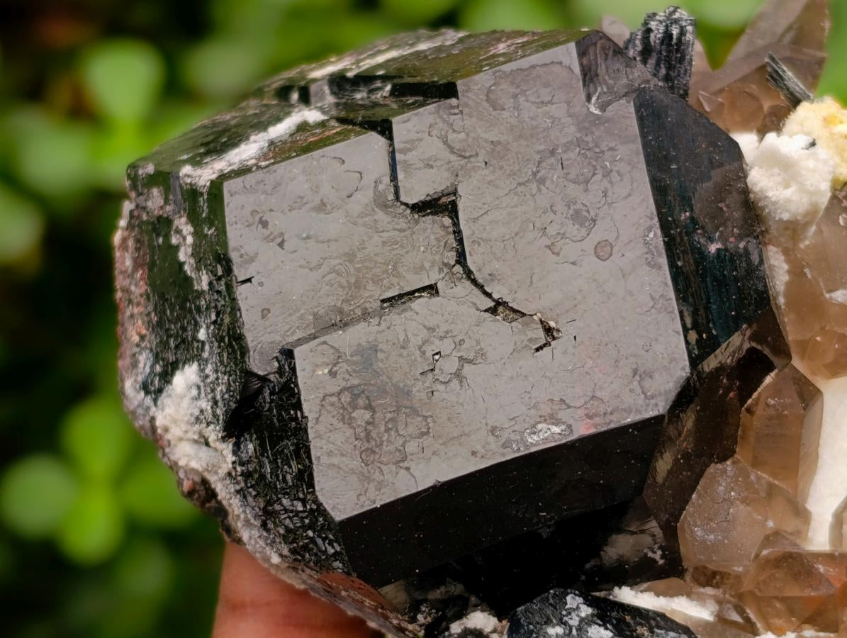 Natural Schorl Black Tourmaline Specimens with Associated Minerals x 6 From Erongo, Namibia - Toprock Gemstones and Minerals 