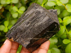 Natural Schorl Black Tourmaline Specimens with Associated Minerals x 6 From Erongo, Namibia - Toprock Gemstones and Minerals 
