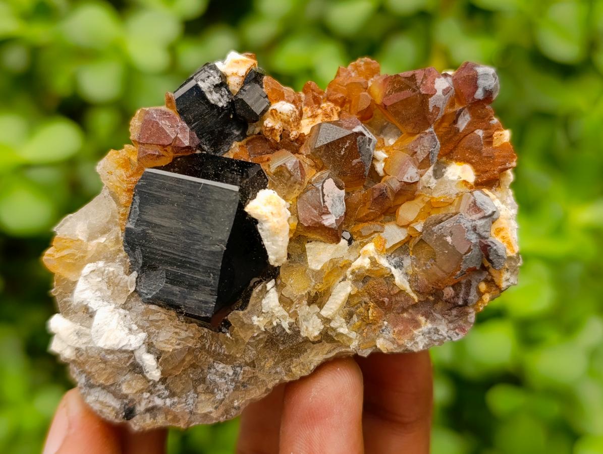 Natural Schorl Black Tourmaline Specimens with Associated Minerals x 6 From Erongo, Namibia - Toprock Gemstones and Minerals 