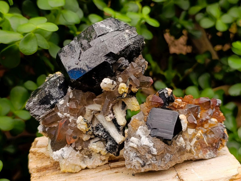 Natural Schorl Black Tourmaline Specimens with Associated Minerals x 6 From Erongo, Namibia - Toprock Gemstones and Minerals 