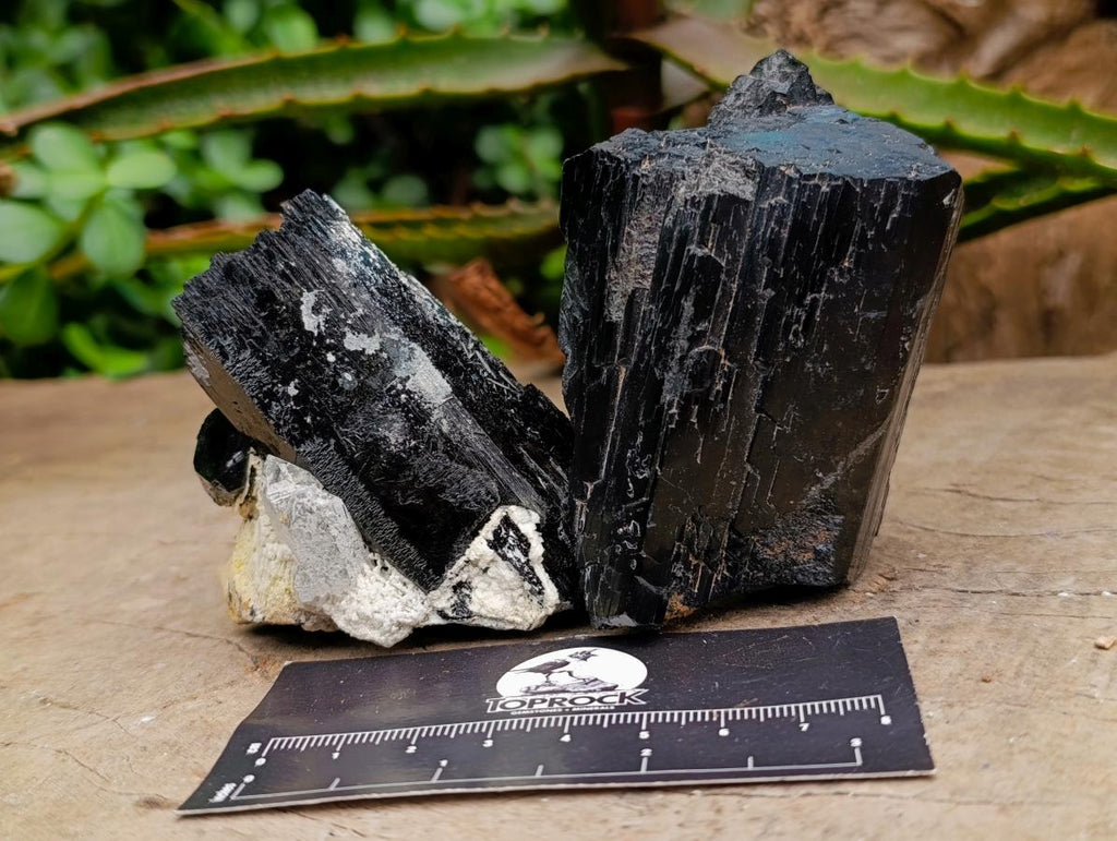 Natural Schorl Black Tourmaline Specimens with Associated Minerals x 6 From Erongo, Namibia - Toprock Gemstones and Minerals 