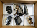 Natural Schorl Black Tourmaline Specimens with Associated Minerals x 6 From Erongo, Namibia - Toprock Gemstones and Minerals 