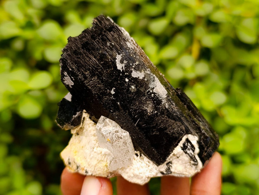 Natural Schorl Black Tourmaline Specimens with Associated Minerals x 6 From Erongo, Namibia - Toprock Gemstones and Minerals 