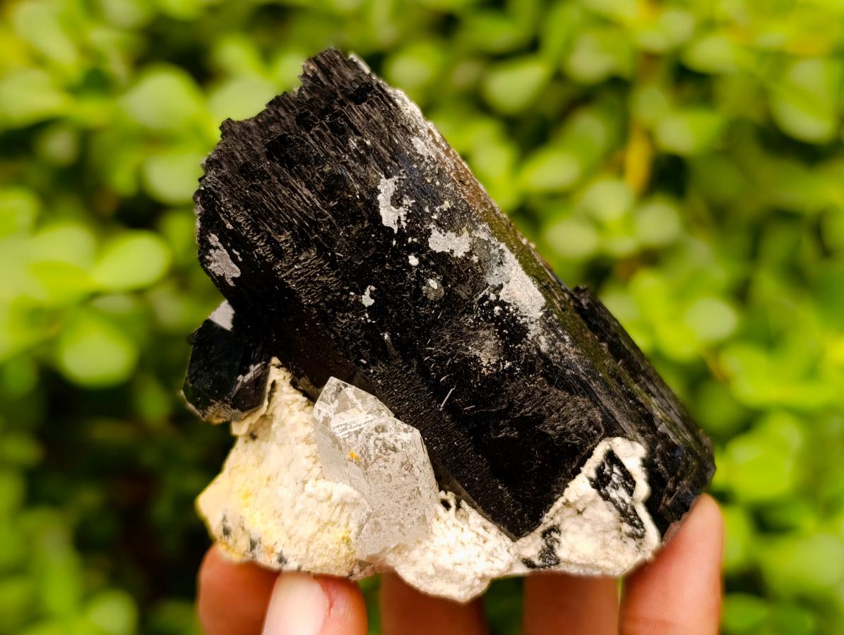 Natural Schorl Black Tourmaline Specimens with Associated Minerals x 6 From Erongo, Namibia - Toprock Gemstones and Minerals 