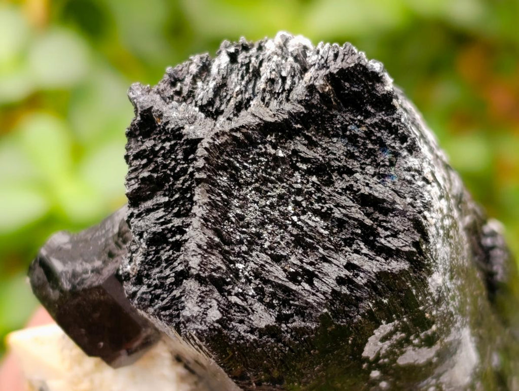 Natural Schorl Black Tourmaline Specimens with Associated Minerals x 6 From Erongo, Namibia - Toprock Gemstones and Minerals 