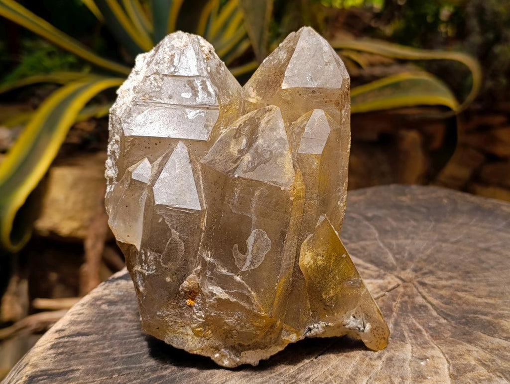 Natural Large Smokey Quartz Cluster with Hyalite Opal x 1 From Erongo, Namibia - Toprock Gemstones and Minerals 