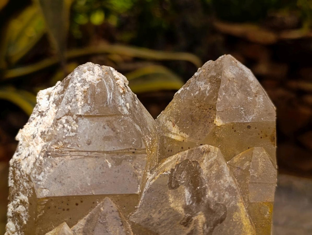 Natural Large Smokey Quartz Cluster with Hyalite Opal x 1 From Erongo, Namibia - Toprock Gemstones and Minerals 