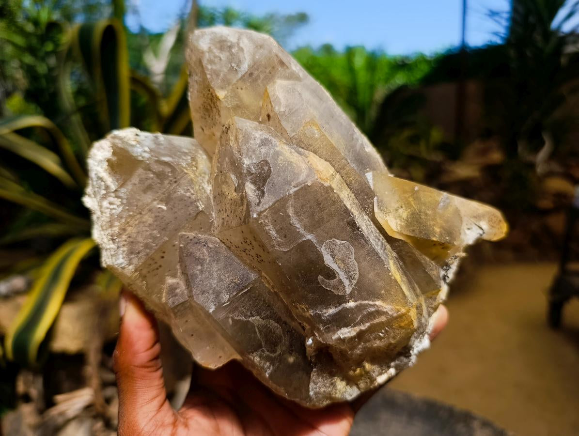 Natural Large Smokey Quartz Cluster with Hyalite Opal x 1 From Erongo, Namibia - Toprock Gemstones and Minerals 