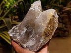 Natural Large Smokey Quartz Cluster with Hyalite Opal x 1 From Erongo, Namibia - Toprock Gemstones and Minerals 