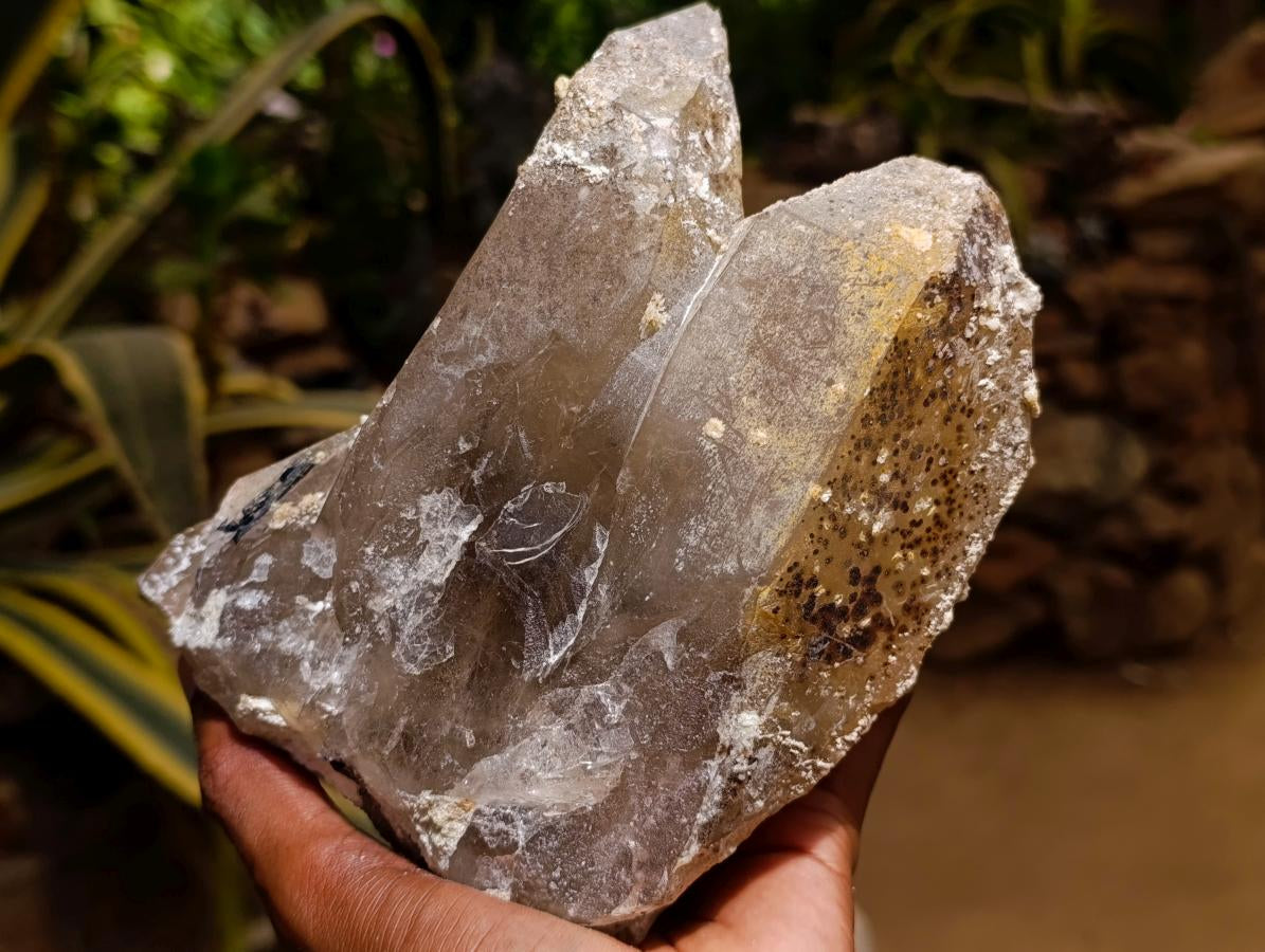 Natural Large Smokey Quartz Cluster with Hyalite Opal x 1 From Erongo, Namibia - Toprock Gemstones and Minerals 