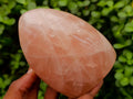 Polished Gemmy Rose Quartz Standing Free Forms x 2 From Madagascar - Toprock Gemstones and Minerals 
