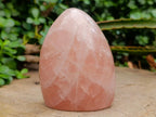 Polished Gemmy Rose Quartz Standing Free Forms x 2 From Madagascar - Toprock Gemstones and Minerals 