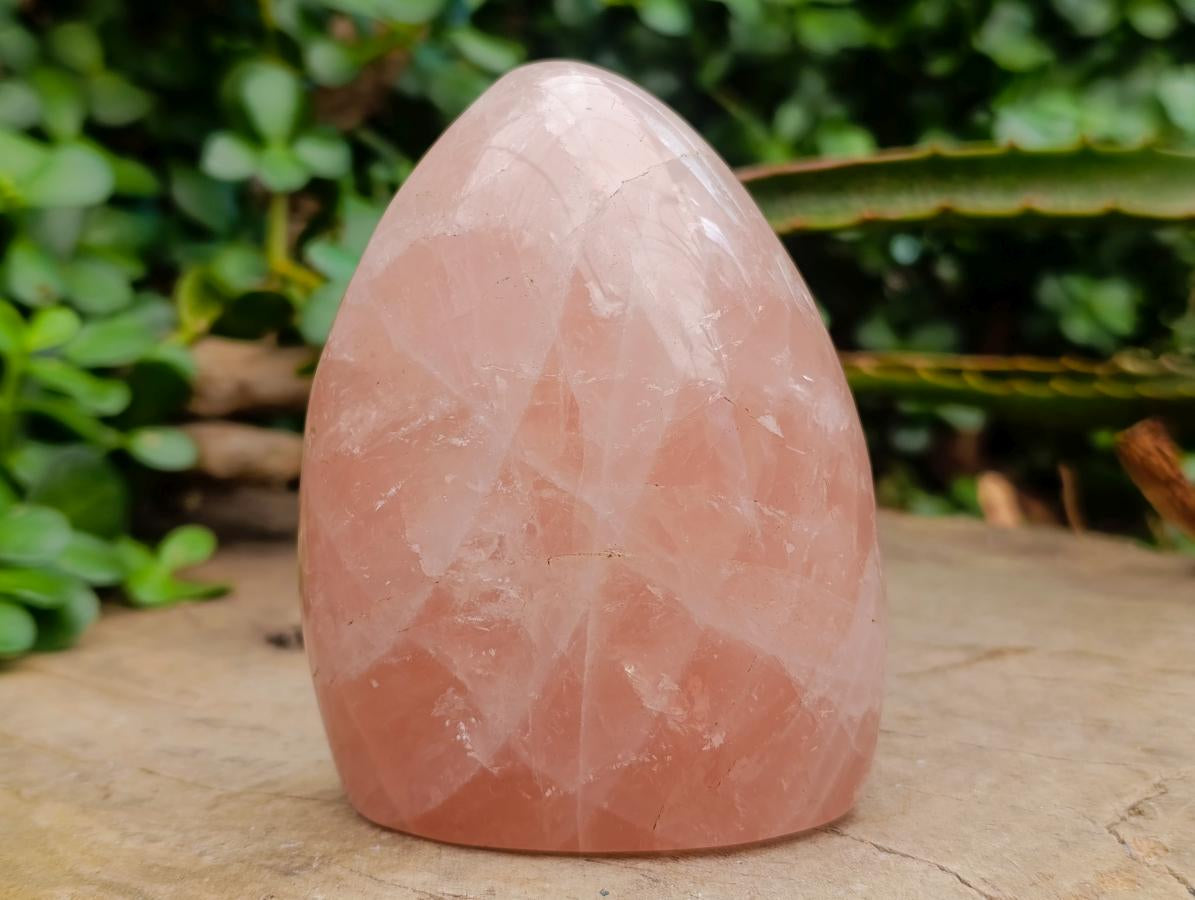 Polished Gemmy Rose Quartz Standing Free Forms x 2 From Madagascar - Toprock Gemstones and Minerals 