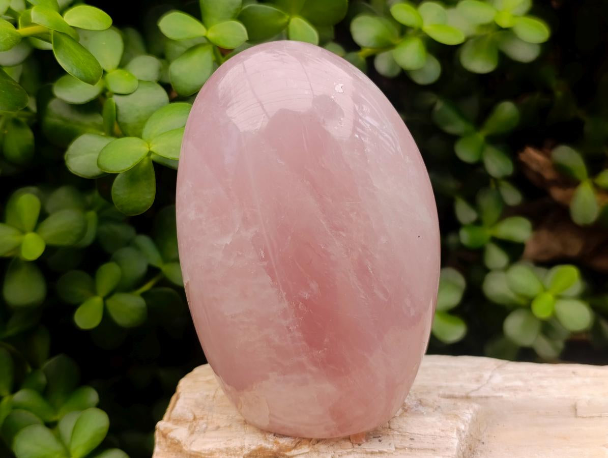 Polished Gemmy Rose Quartz Standing Free Forms x 2 From Madagascar - Toprock Gemstones and Minerals 
