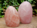 Polished Gemmy Rose Quartz Standing Free Forms x 2 From Madagascar - Toprock Gemstones and Minerals 