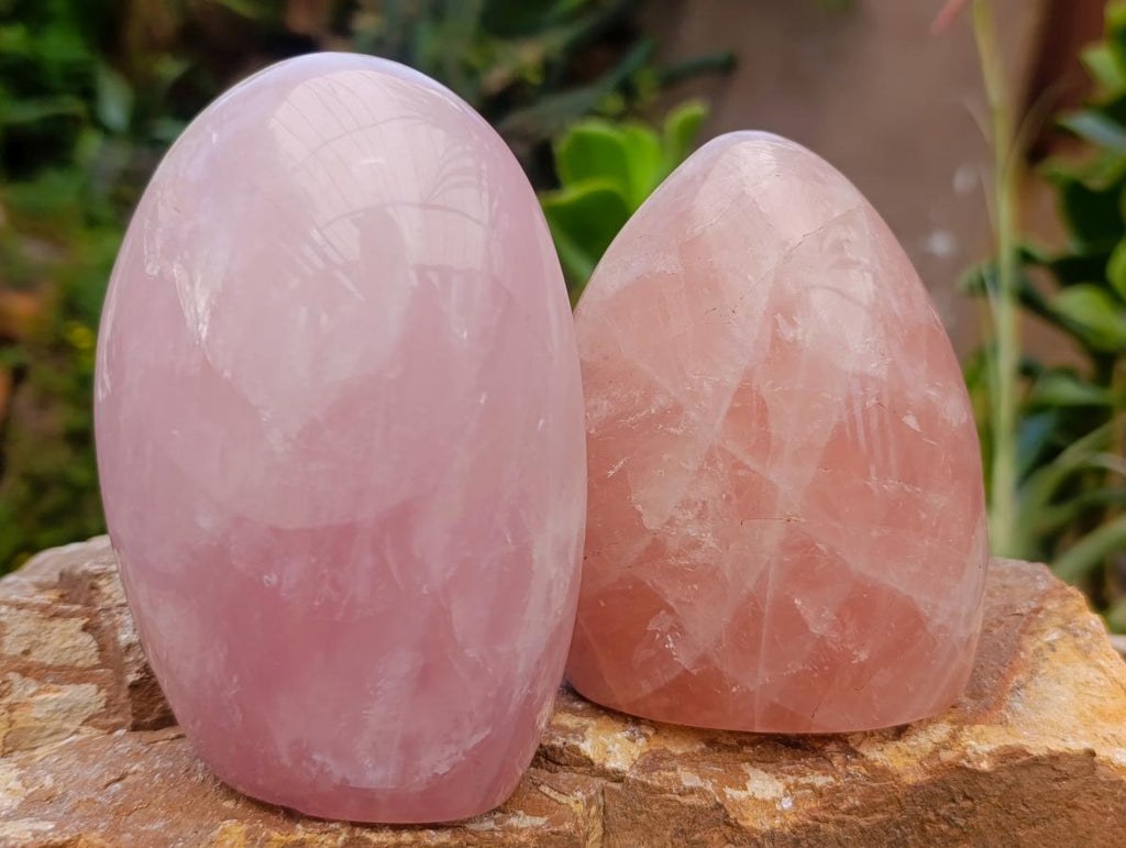 Polished Gemmy Rose Quartz Standing Free Forms x 2 From Madagascar - Toprock Gemstones and Minerals 