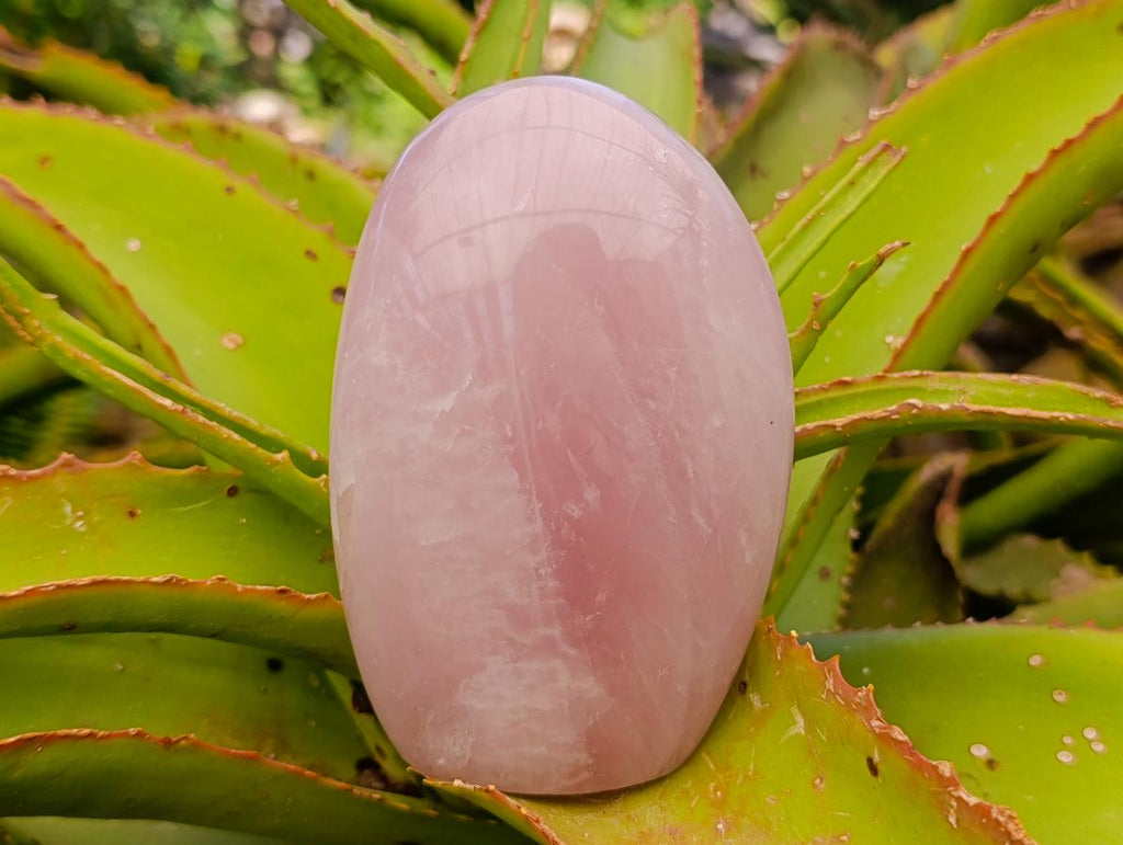 Polished Gemmy Rose Quartz Standing Free Forms x 2 From Madagascar - Toprock Gemstones and Minerals 