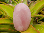 Polished Gemmy Rose Quartz Standing Free Forms x 2 From Madagascar - Toprock Gemstones and Minerals 