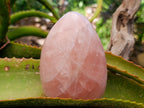 Polished Gemmy Rose Quartz Standing Free Forms x 2 From Madagascar - Toprock Gemstones and Minerals 