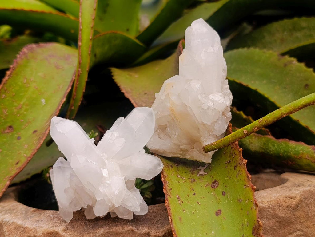 Natural Quartz Clusters x 15 From Madagascar - Toprock Gemstones and Minerals 