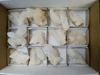 Natural Quartz Clusters x 15 From Madagascar - Toprock Gemstones and Minerals 