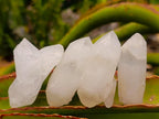 Natural Quartz Clusters x 15 From Madagascar - Toprock Gemstones and Minerals 