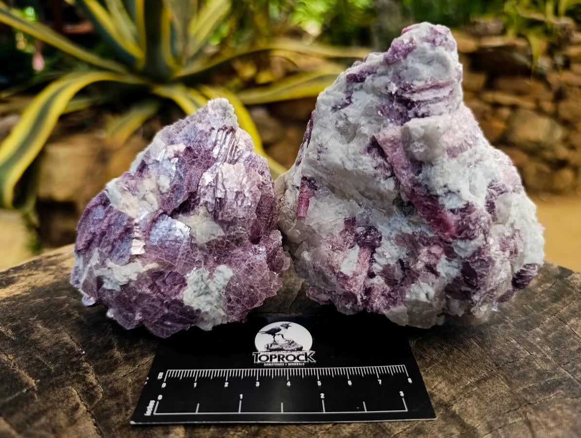 Natural Pink Rubellite Tourmaline Specimens x 12 From Karibib, Namibia - Toprock Gemstones and Minerals 