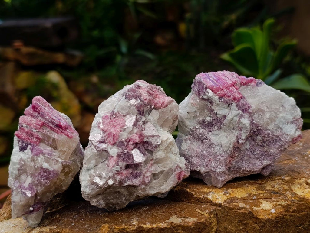 Natural Pink Rubellite Tourmaline Specimens x 12 From Karibib, Namibia - Toprock Gemstones and Minerals 