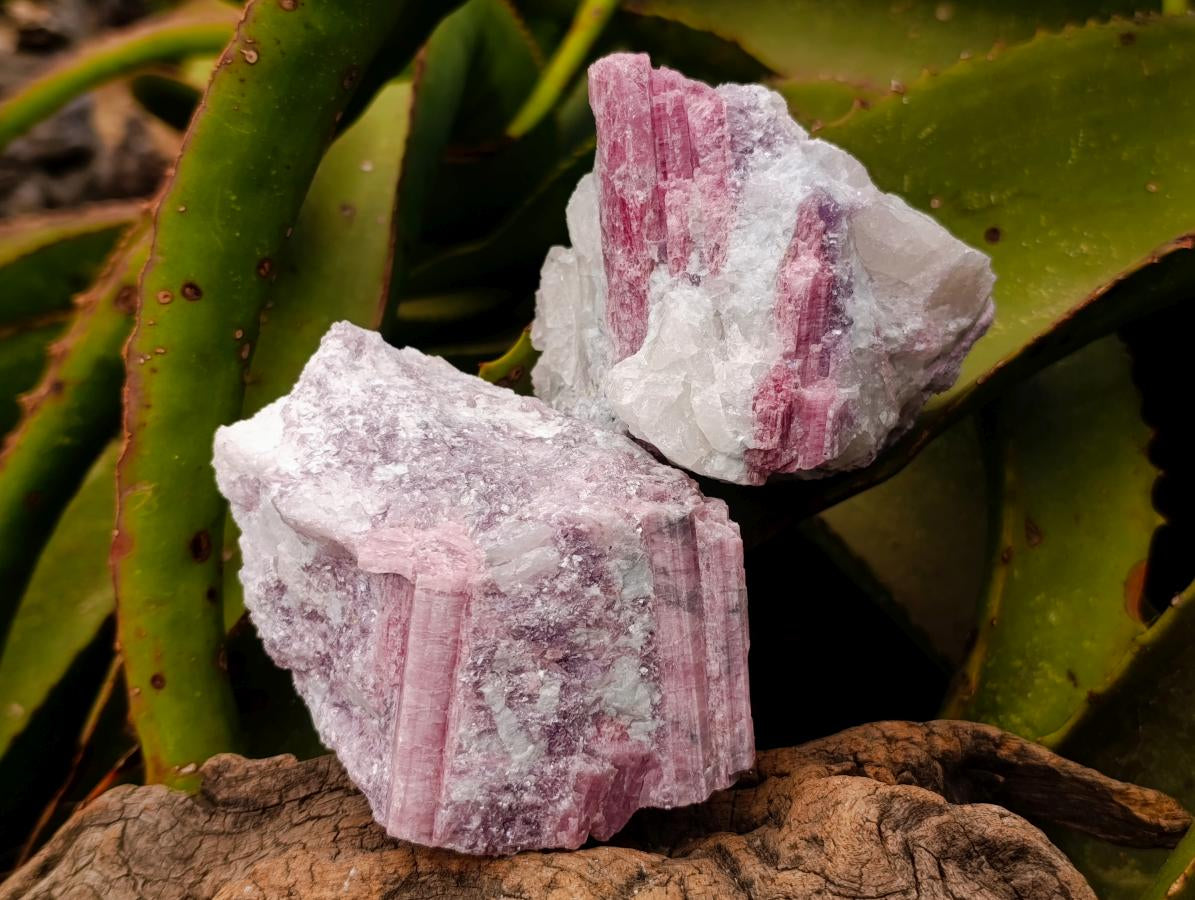 Natural Pink Rubellite Tourmaline Specimens x 12 From Karibib, Namibia - Toprock Gemstones and Minerals 