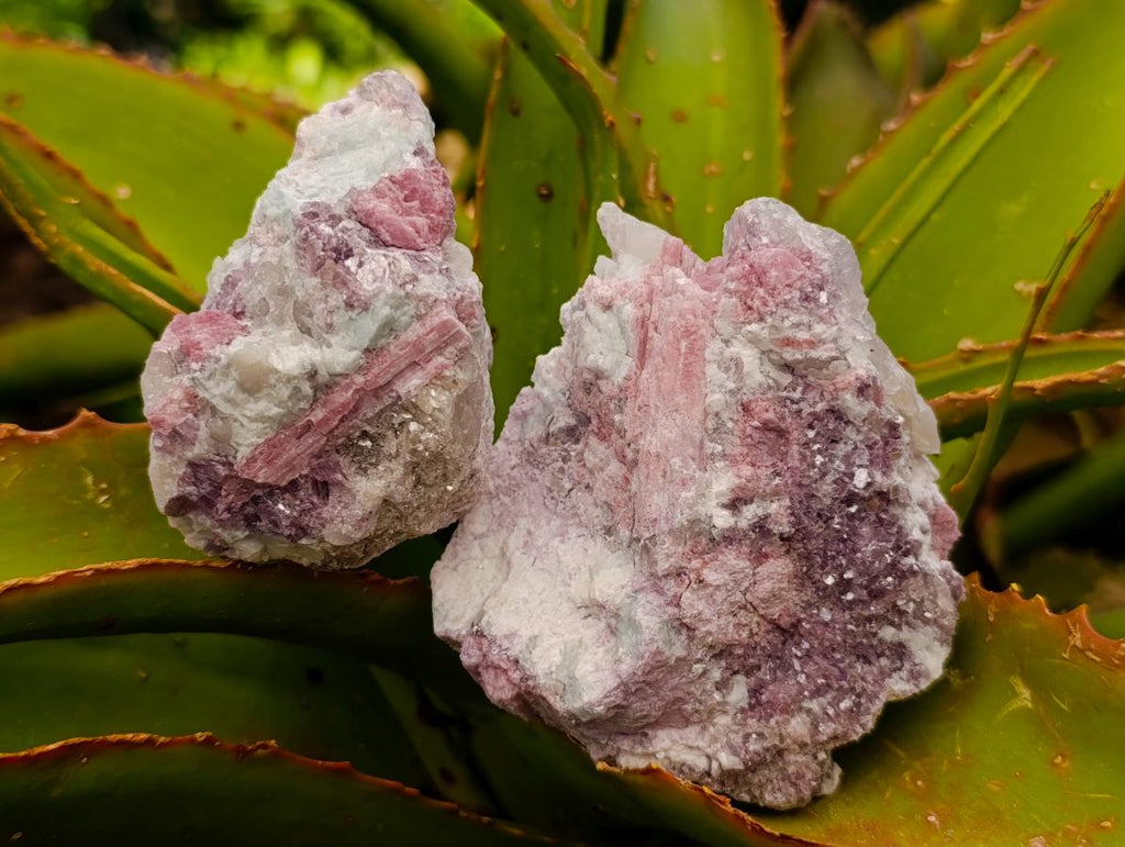 Natural Pink Rubellite Tourmaline Specimens x 12 From Karibib, Namibia - Toprock Gemstones and Minerals 