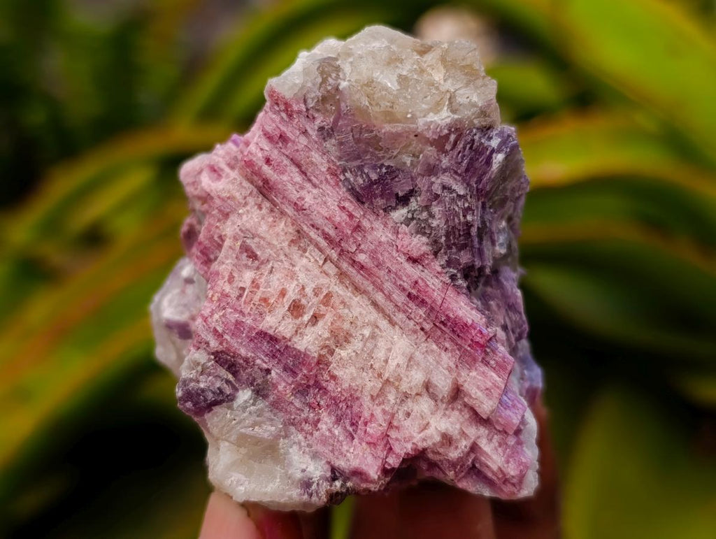 Natural Pink Rubellite Tourmaline Specimens x 12 From Karibib, Namibia - Toprock Gemstones and Minerals 
