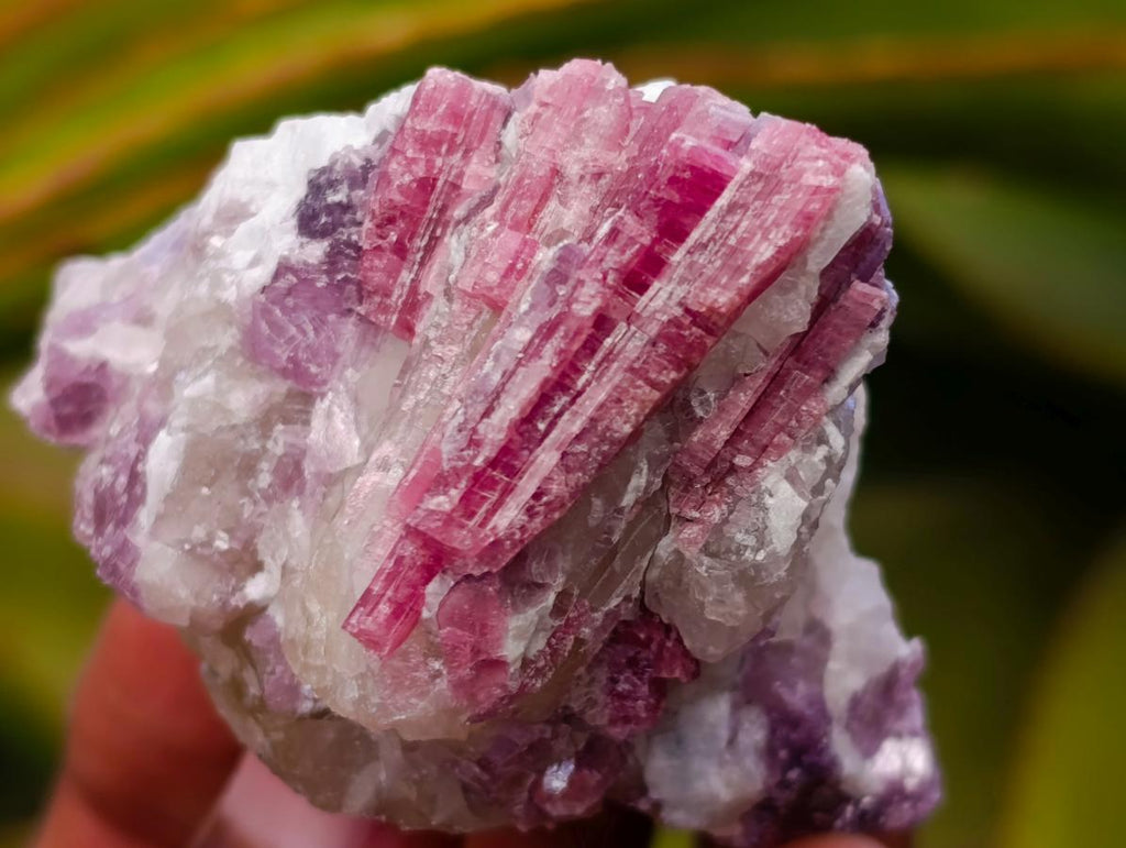 Natural Pink Rubellite Tourmaline Specimens x 12 From Karibib, Namibia - Toprock Gemstones and Minerals 