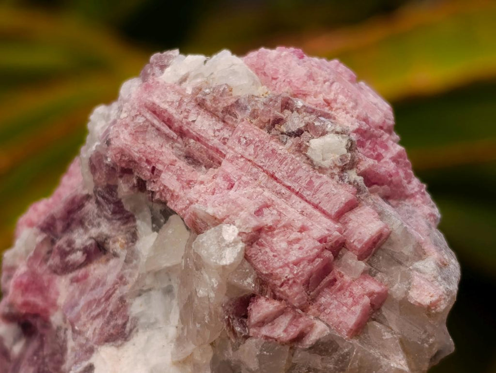 Natural Pink Rubellite Tourmaline Specimens x 12 From Karibib, Namibia - Toprock Gemstones and Minerals 