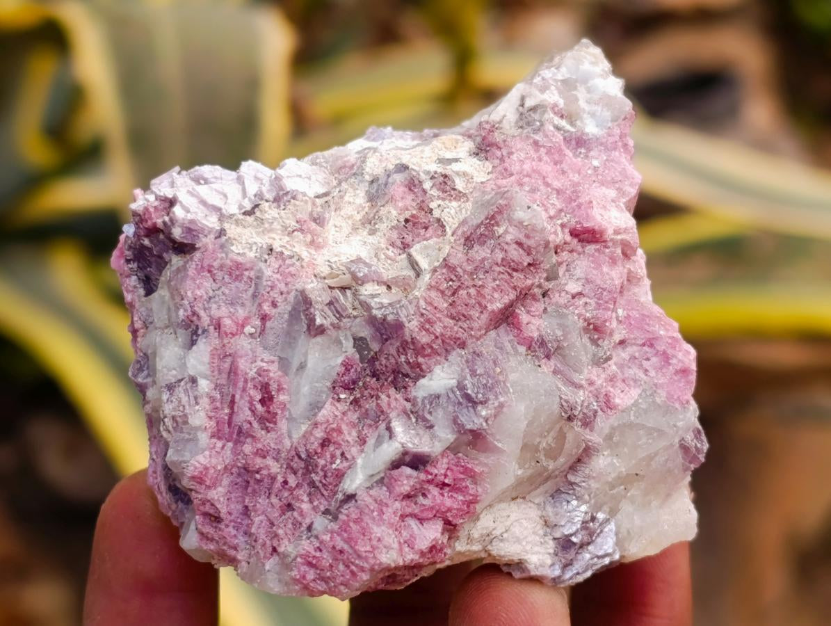Natural Pink Rubellite Tourmaline Specimens x 12 From Karibib, Namibia - Toprock Gemstones and Minerals 