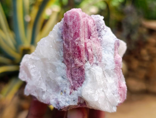 Natural Pink Rubellite Tourmaline Specimens x 12 From Karibib, Namibia - Toprock Gemstones and Minerals 
