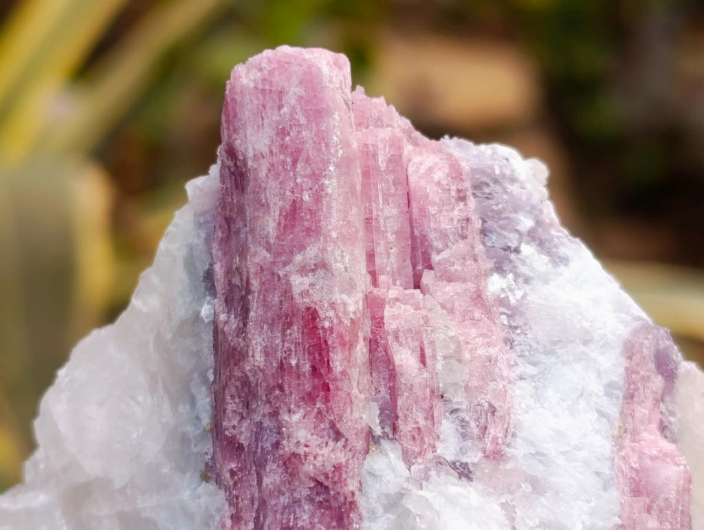 Natural Pink Rubellite Tourmaline Specimens x 12 From Karibib, Namibia - Toprock Gemstones and Minerals 