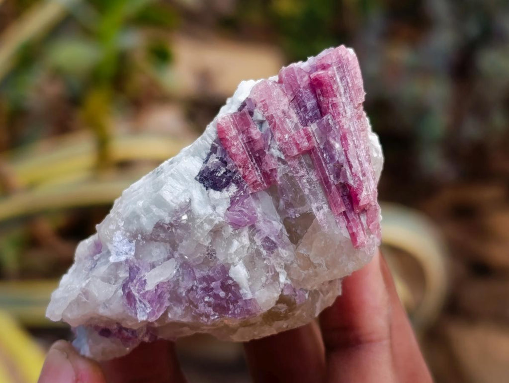 Natural Pink Rubellite Tourmaline Specimens x 12 From Karibib, Namibia - Toprock Gemstones and Minerals 