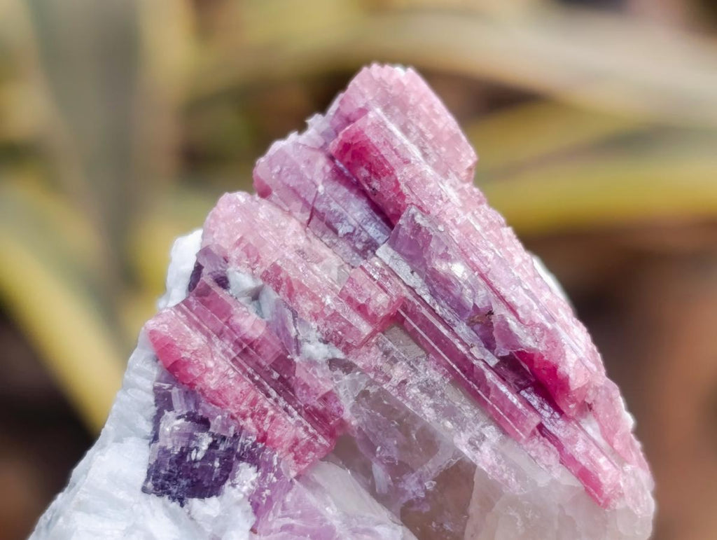 Natural Pink Rubellite Tourmaline Specimens x 12 From Karibib, Namibia - Toprock Gemstones and Minerals 