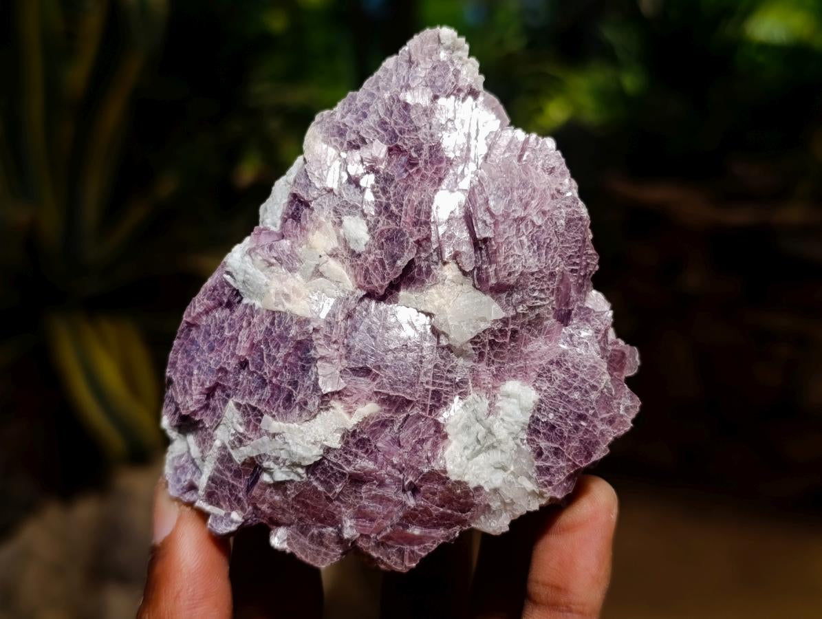 Natural Pink Rubellite Tourmaline Specimens x 12 From Karibib, Namibia - Toprock Gemstones and Minerals 