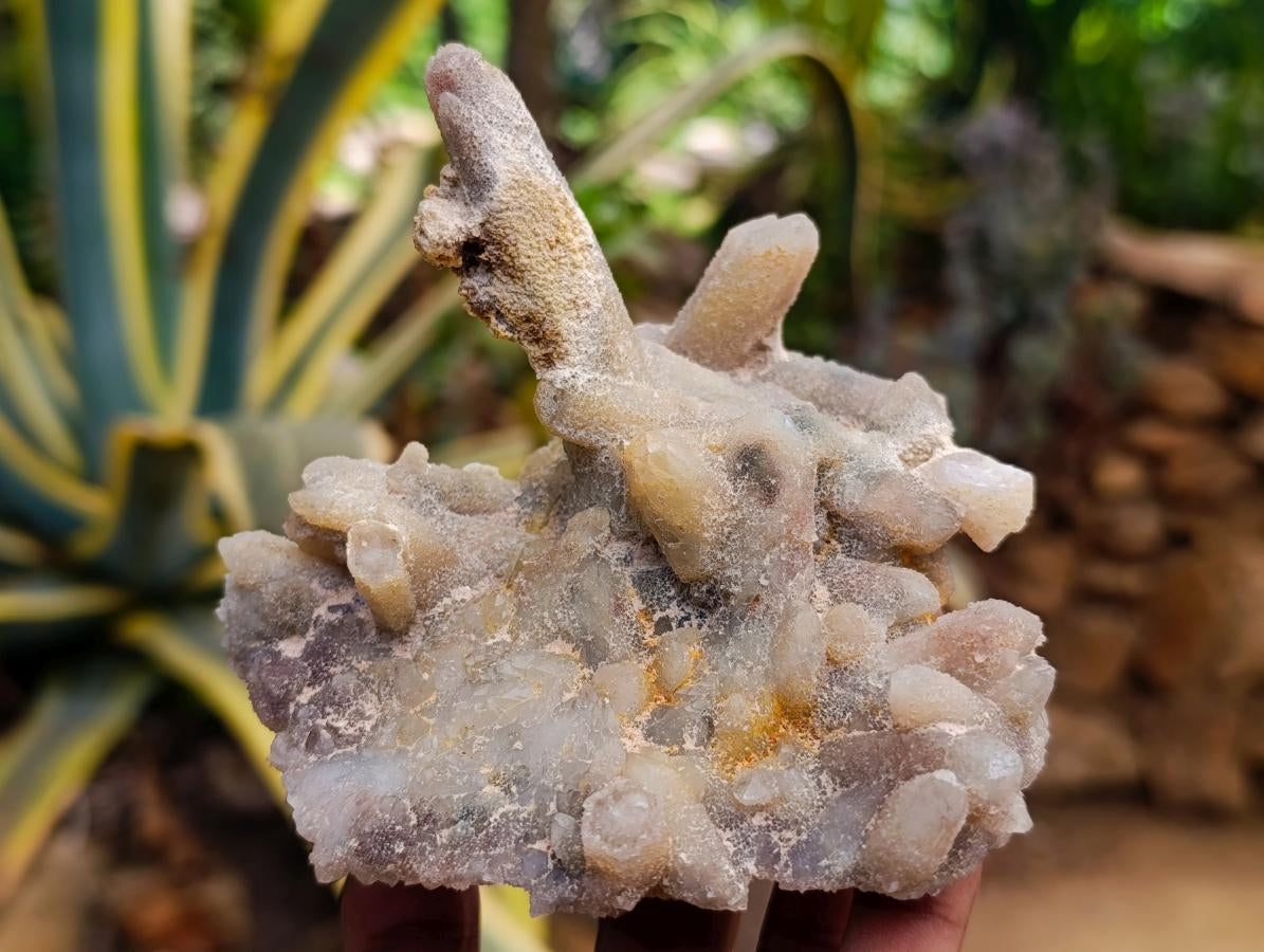 Natural White Fairy Spirit Quartz Clusters and Crystals x 8 From Boekenhouthoek, South Africa - Toprock Gemstones and Minerals 