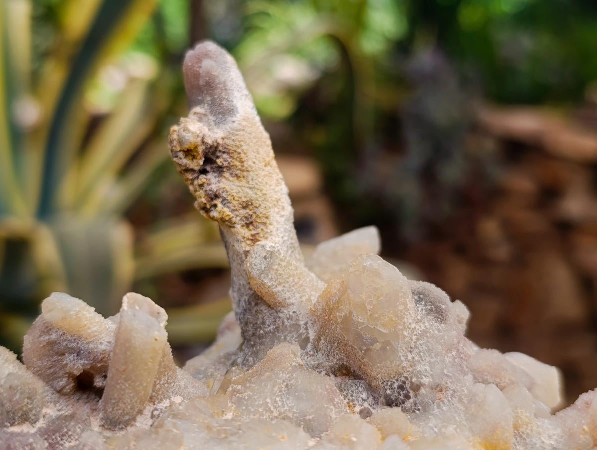 Natural White Fairy Spirit Quartz Clusters and Crystals x 8 From Boekenhouthoek, South Africa - Toprock Gemstones and Minerals 