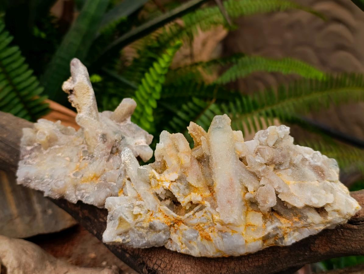 Natural White Fairy Spirit Quartz Clusters and Crystals x 8 From Boekenhouthoek, South Africa - Toprock Gemstones and Minerals 