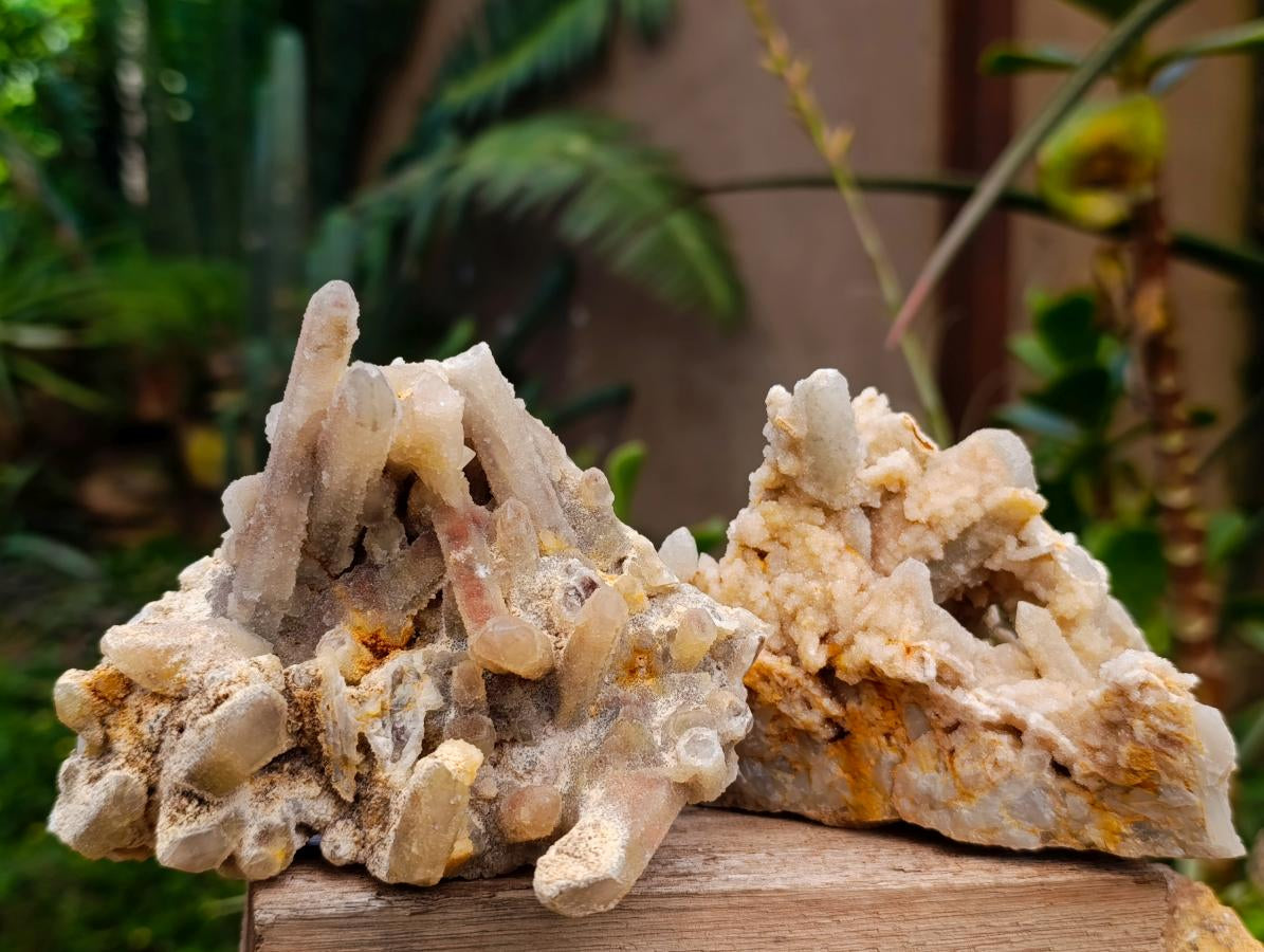 Natural White Fairy Spirit Quartz Clusters and Crystals x 8 From Boekenhouthoek, South Africa - Toprock Gemstones and Minerals 