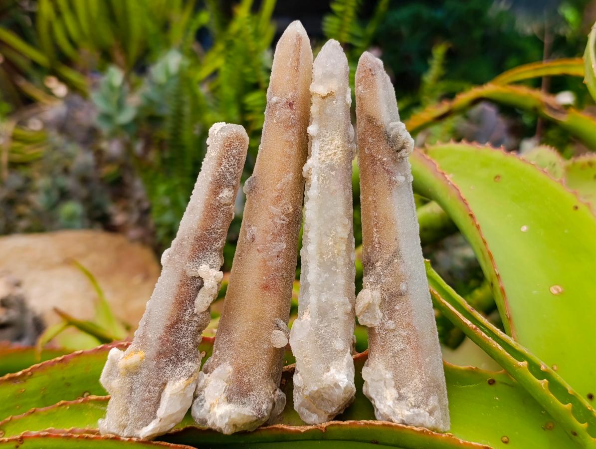 Natural White Fairy Spirit Quartz Clusters and Crystals x 8 From Boekenhouthoek, South Africa - Toprock Gemstones and Minerals 
