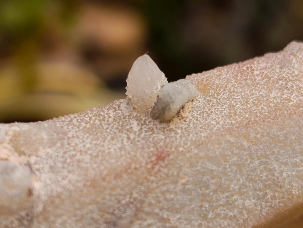 Natural White Fairy Spirit Quartz Clusters and Crystals x 8 From Boekenhouthoek, South Africa - Toprock Gemstones and Minerals 
