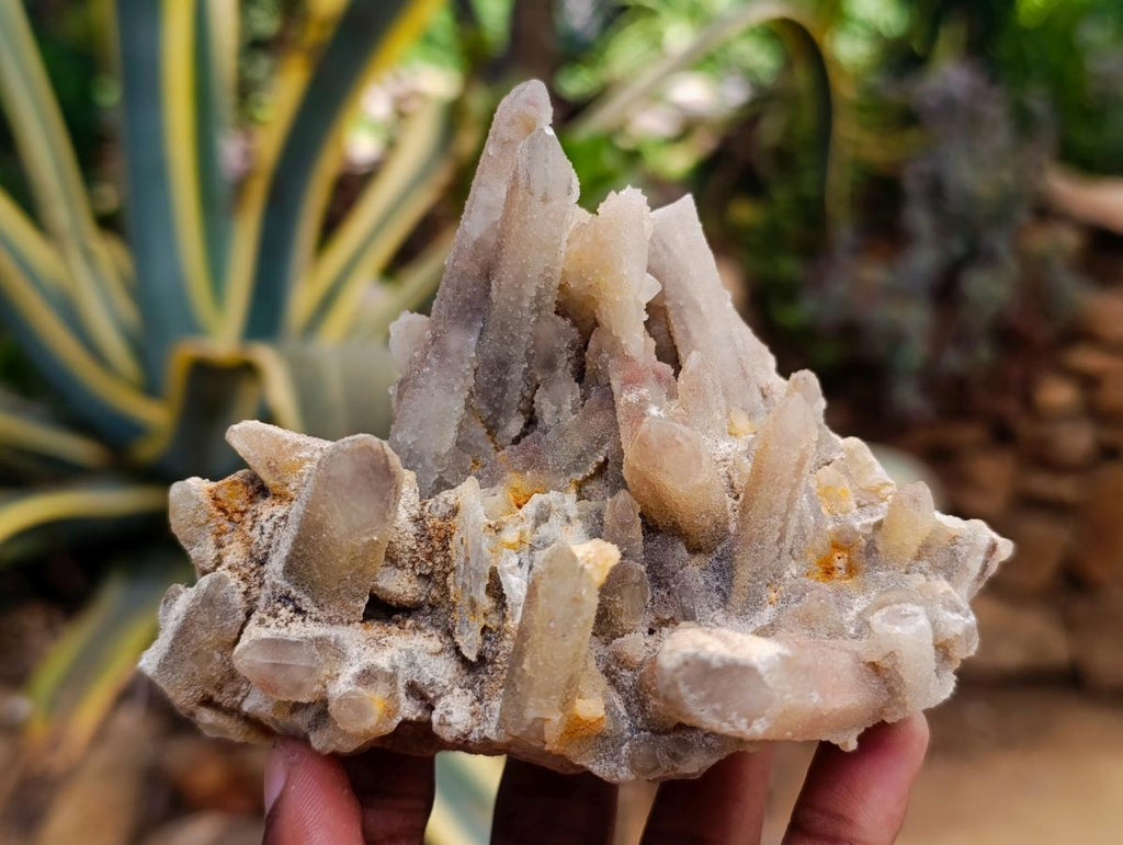 Natural White Fairy Spirit Quartz Clusters and Crystals x 8 From Boekenhouthoek, South Africa - Toprock Gemstones and Minerals 