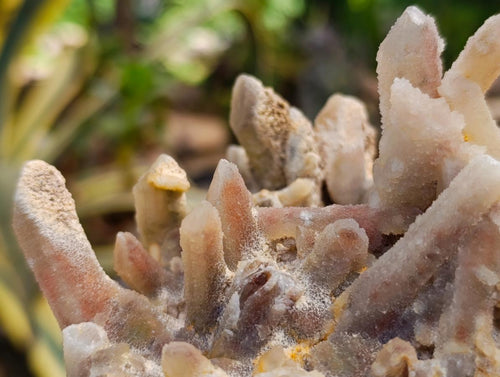 Natural White Fairy Spirit Quartz Clusters and Crystals x 8 From Boekenhouthoek, South Africa - Toprock Gemstones and Minerals 