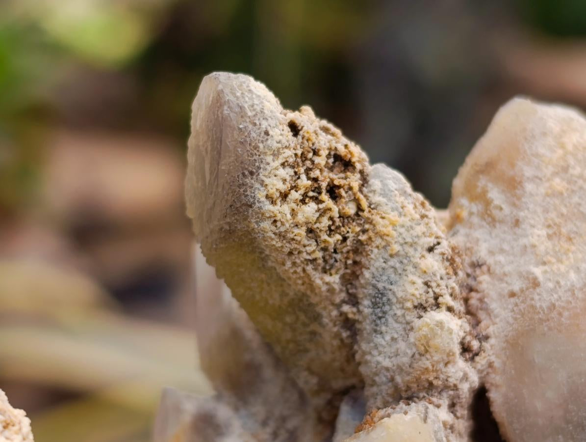 Natural White Fairy Spirit Quartz Clusters and Crystals x 8 From Boekenhouthoek, South Africa - Toprock Gemstones and Minerals 