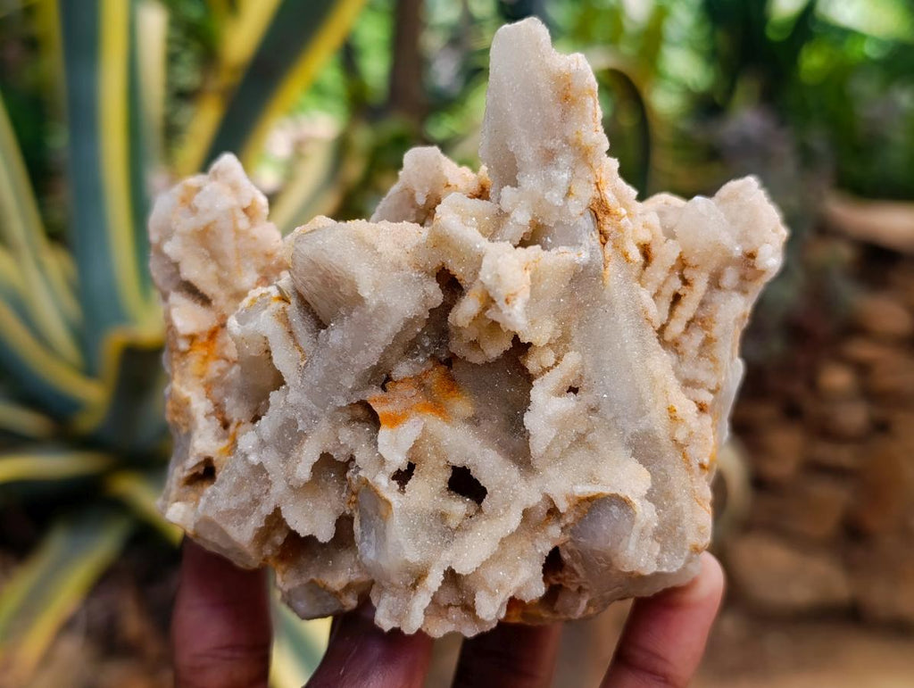 Natural White Fairy Spirit Quartz Clusters and Crystals x 8 From Boekenhouthoek, South Africa - Toprock Gemstones and Minerals 