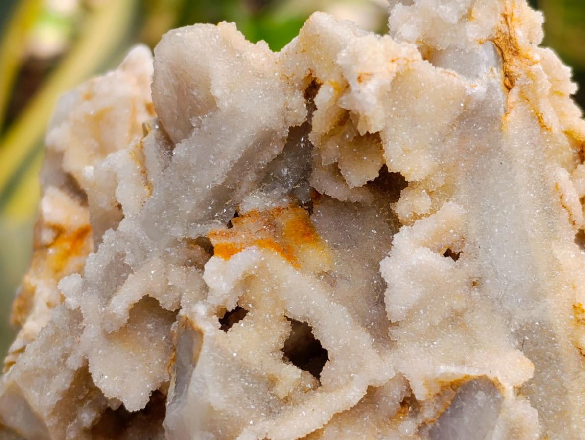 Natural White Fairy Spirit Quartz Clusters and Crystals x 8 From Boekenhouthoek, South Africa - Toprock Gemstones and Minerals 